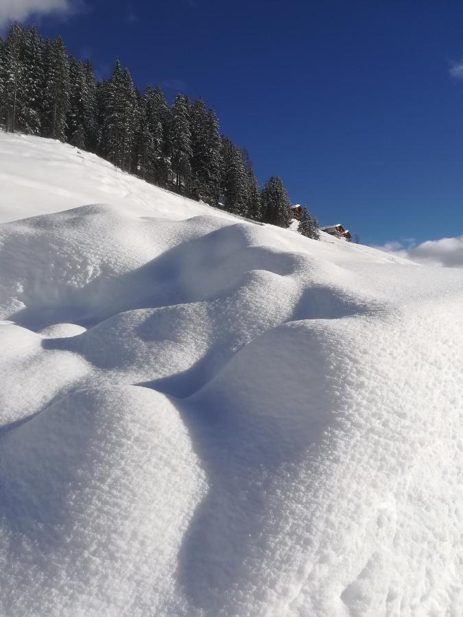Ausserwalderhof Innervillgraten Zewnętrze zdjęcie